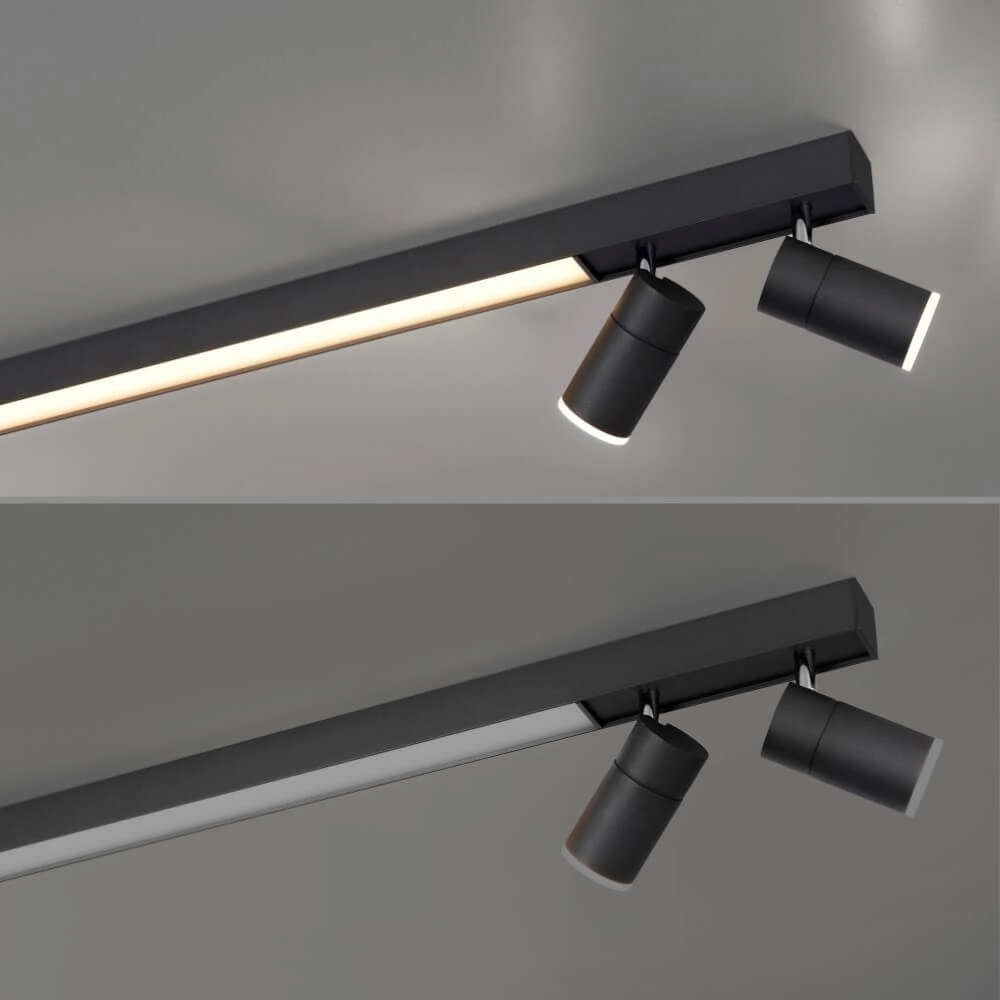 Sleek ceiling lamp Pure Lines Spot anthracite Paul Neuhaus 4012248366349