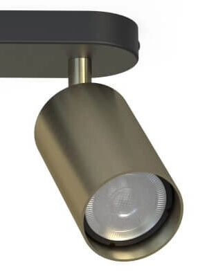 Double surface-mounted spotlight Eye gold with black Lyora 5903139881791