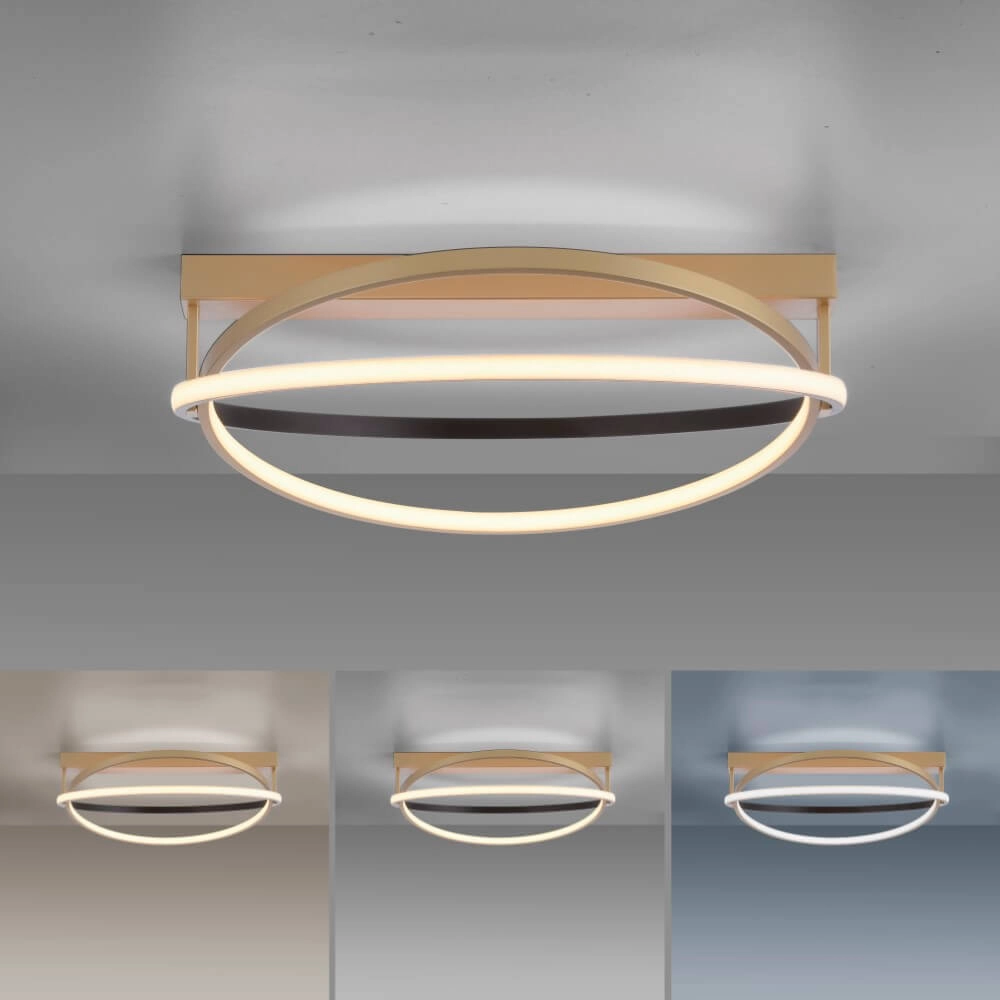 Ceiling lamp Q-Beluga brass Paul Neuhaus 4012248373606