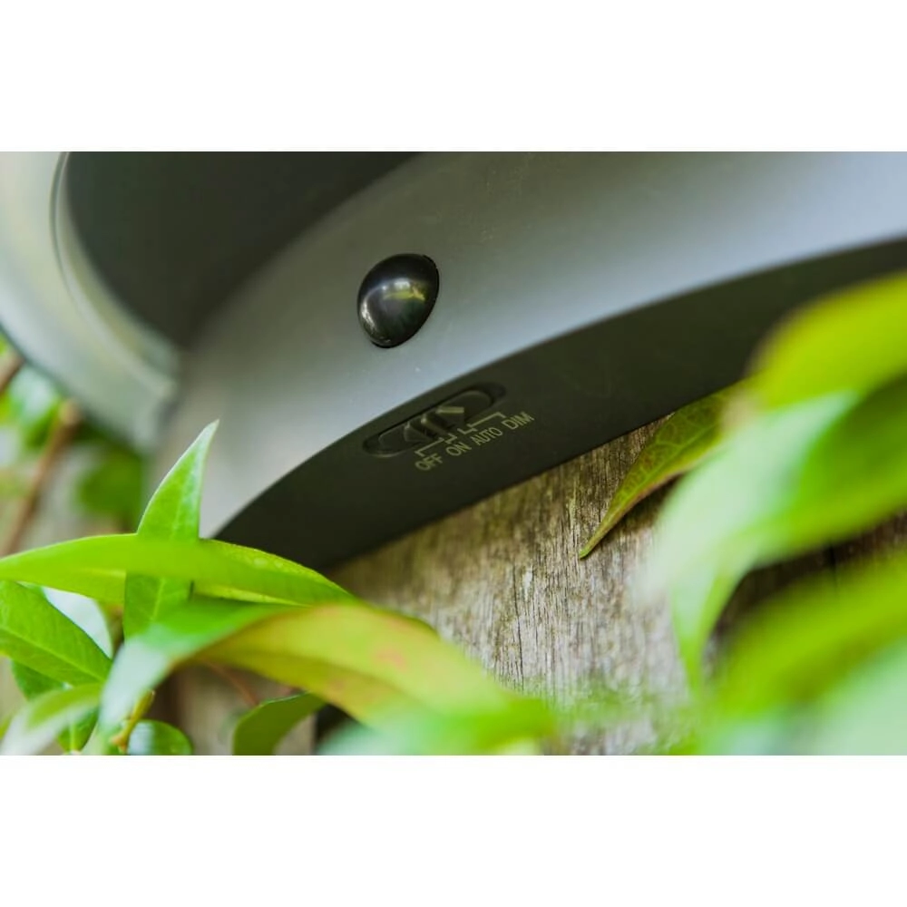 Outdoor Sensor Lamp Vyzor Solar powered Lutec 6939412016320