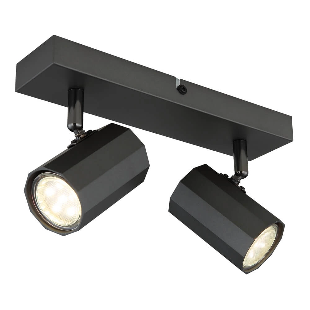 Grey ceiling lamp James double
