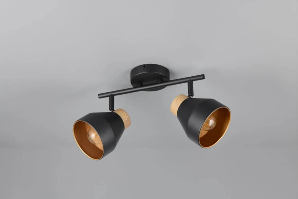 Design ceiling lamp 2-lights Valentin black Trio 4017807637410