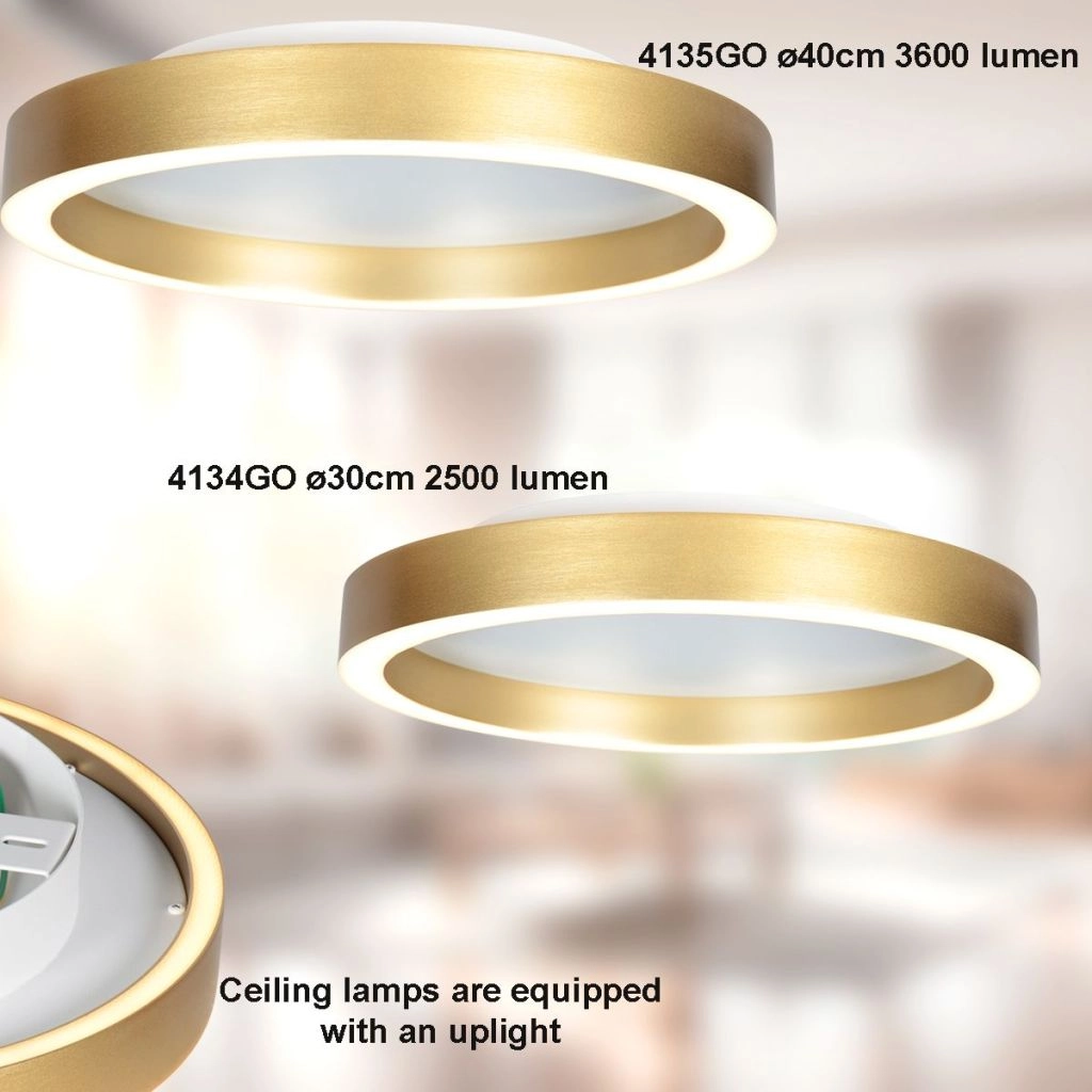 Design ceiling lamp Ringlux gold Ø 40cm Steinhauer 8712746180923