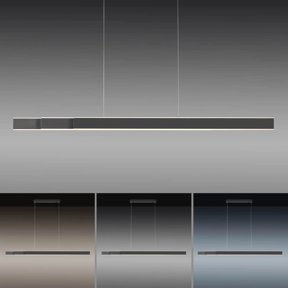 Sleek hanging lamp Pure Lume anthracite Paul Neuhaus 4012248357842