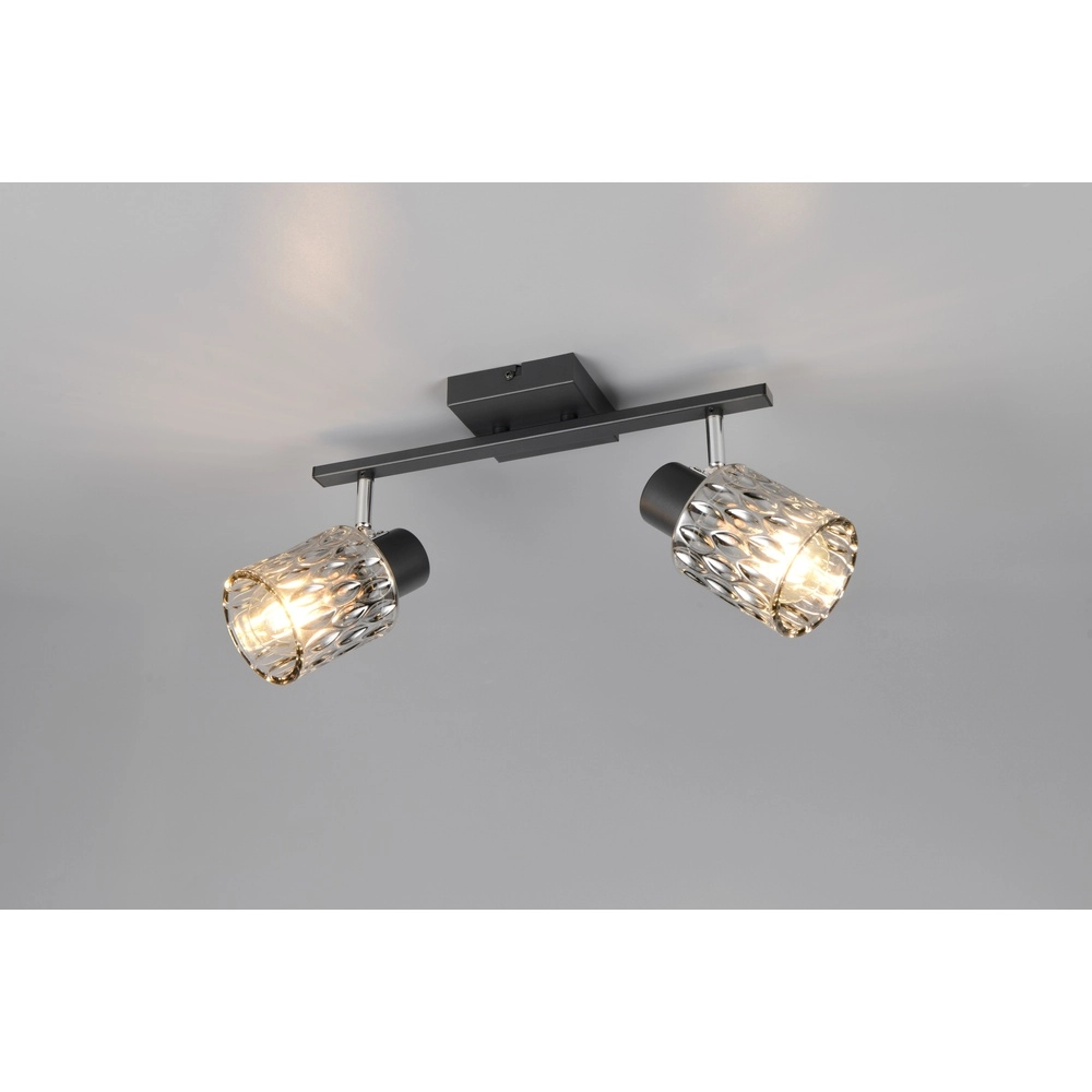 Ceiling lamp Jack black 2-lights Trio 4017807643862