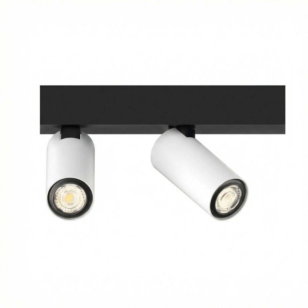2-light surface-mounted spotlight Tevo Mini black and white