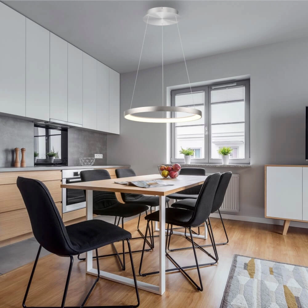 Round pendant lamp Hoop aluminium Paul Neuhaus 4012248384718
