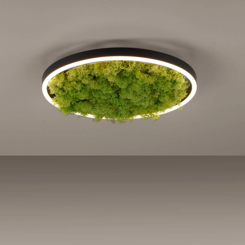 Ceiling lamp Green Ritus with moss Ø 39,3cm Just Light 4043689994792