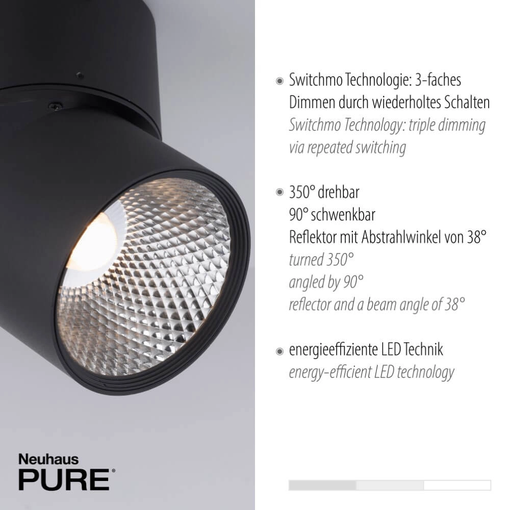 Ceiling lamp Pure Nola 2-light black Paul Neuhaus 4012248372005