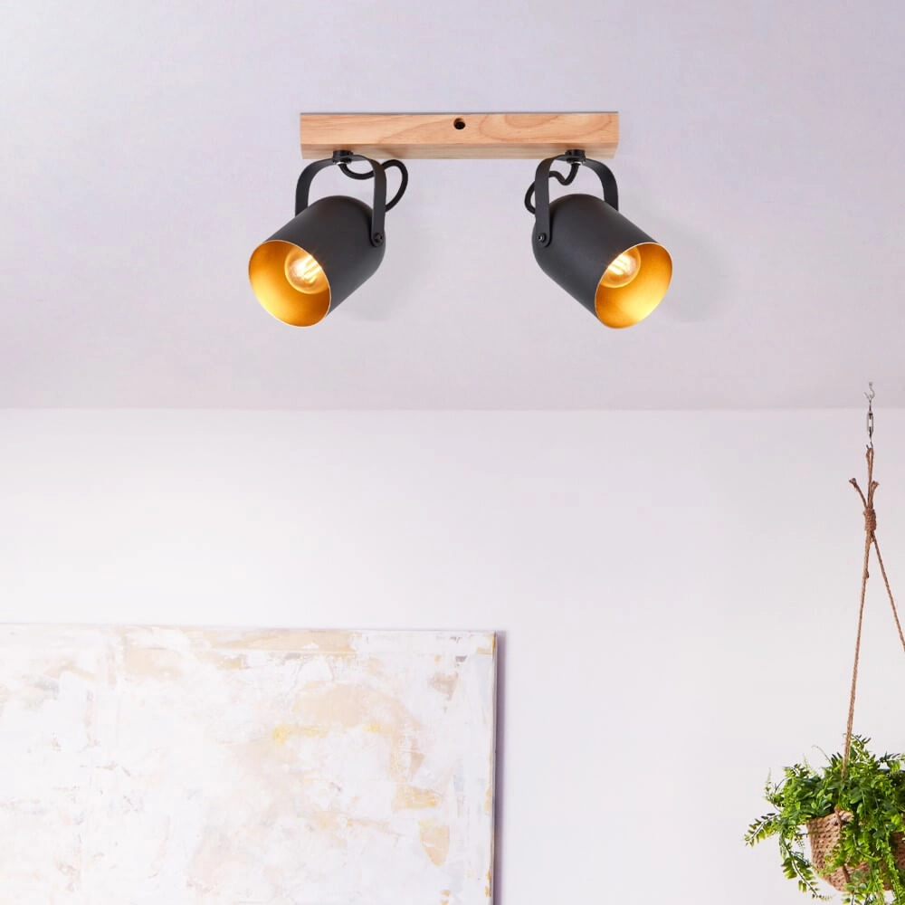 Ceiling lamp Tronte 2-light Brilliant 4004353411359