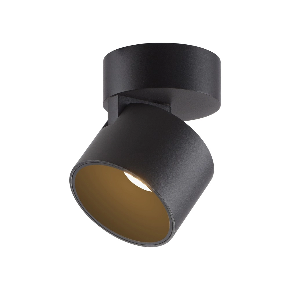 Sleek surface-mounted spot Pure Cup black pearl Paul Neuhaus 4012248395585