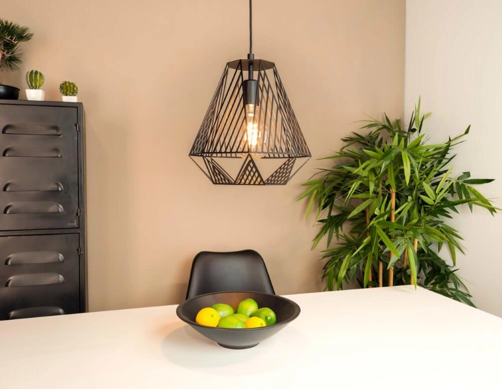 Black wire lamp Stype Ø 33cm Eglo 9002759436926