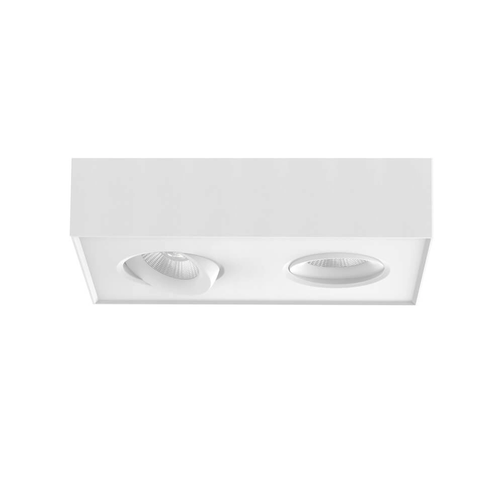 Ceiling lamp Brooklyn Dim to Warm White Double