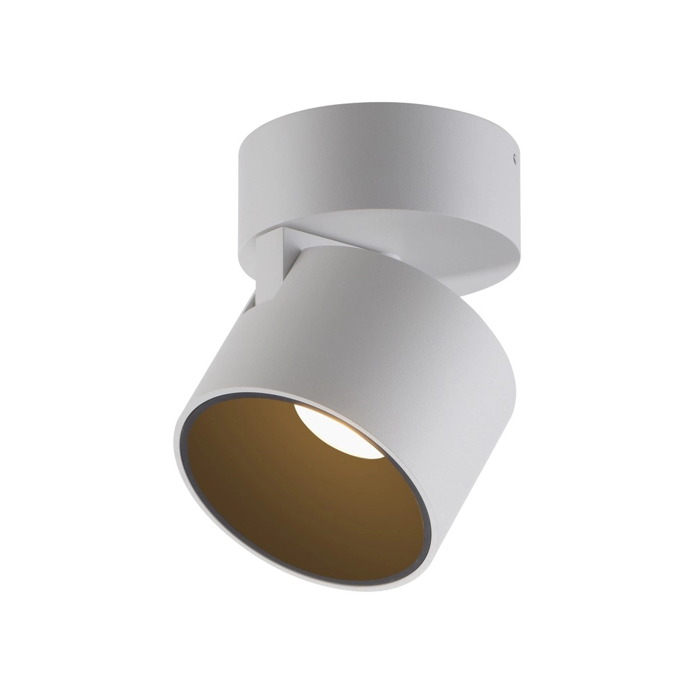 Sleek surface-mounted spot Pure Cup snow white Paul Neuhaus 4012248395578