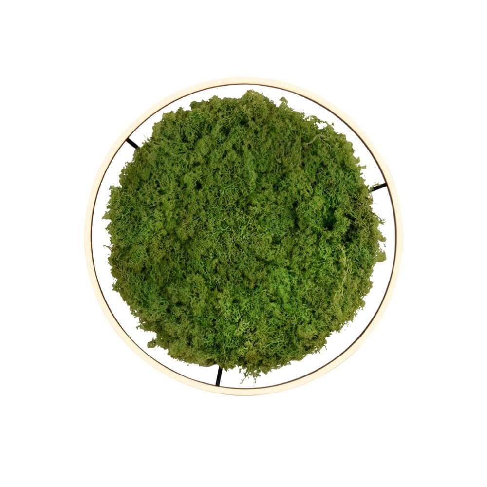 Ceiling lamp Green Ritus with moss Ø 58,5cm Just Light 4043689994808