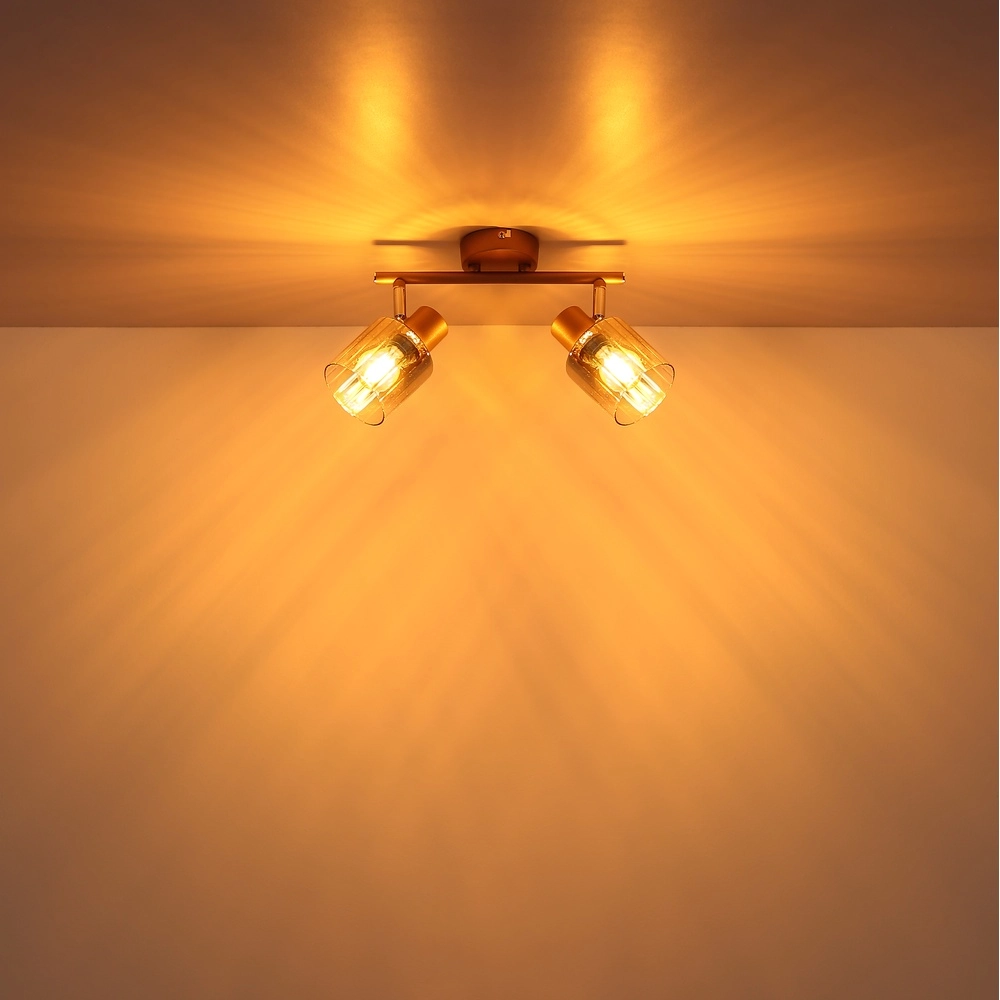 Ceiling lamp Walton 2-light coffee brown Globo 9007371592173