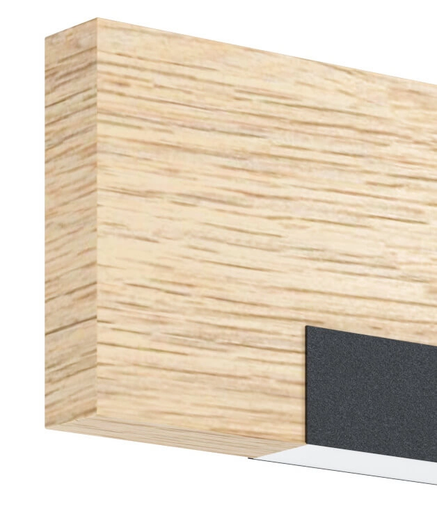 LED wall lamp Camacho Eglo 9008606327959