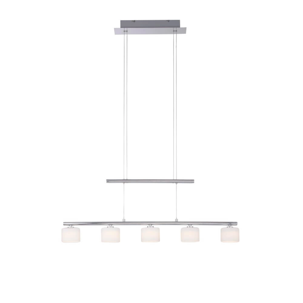 5-light pendant lamp Hydra metal Paul Neuhaus 4012248364963