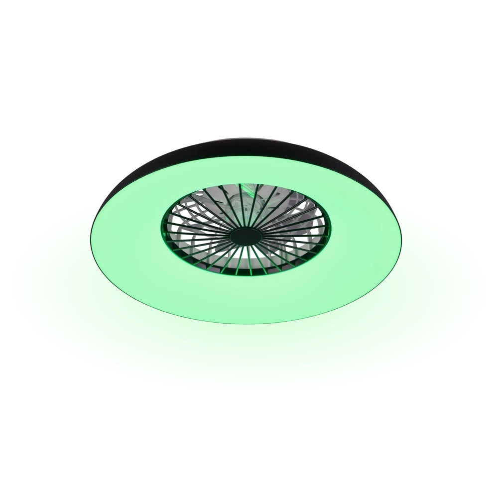 Design fan Svaerholt black Ø 60cm with RGB function Trio 4017807688795