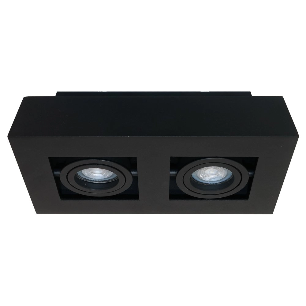 Ceiling spotlight Bosco 2 lights Artdelight 8719831736409