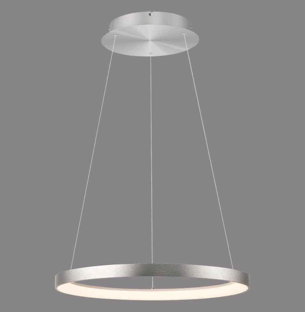 Round pendant lamp Hoop aluminium Paul Neuhaus 4012248384718