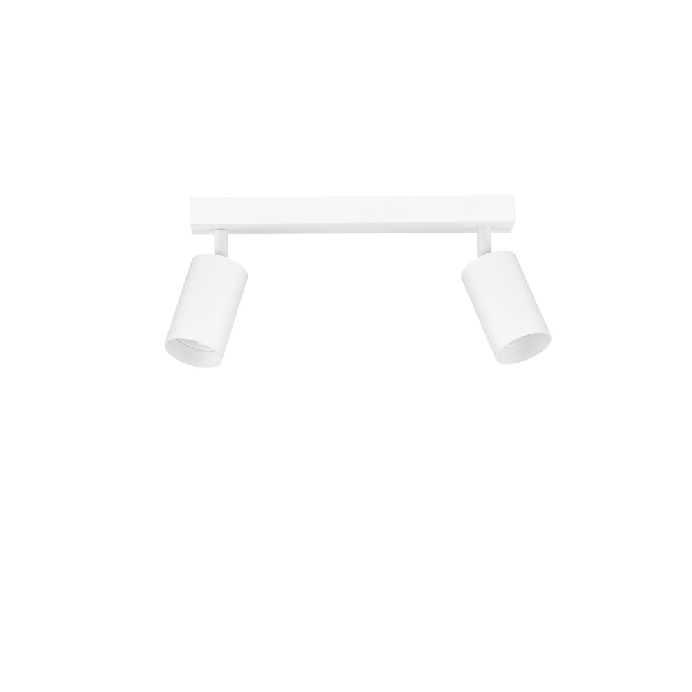 Ceiling spotlight Reig 2-lightest white Lyora 5212017477941