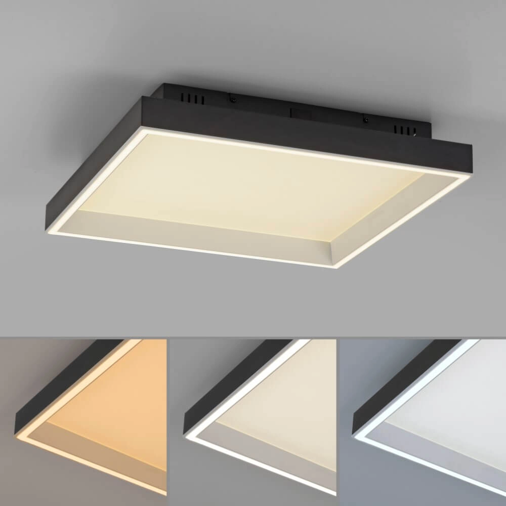 Black ceiling lamp Q-Magong square Paul Neuhaus 4012248384602