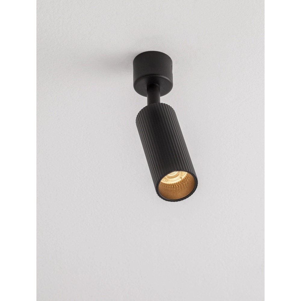 Ceiling spotlight Comet Orientable black Lyora 5212017475770