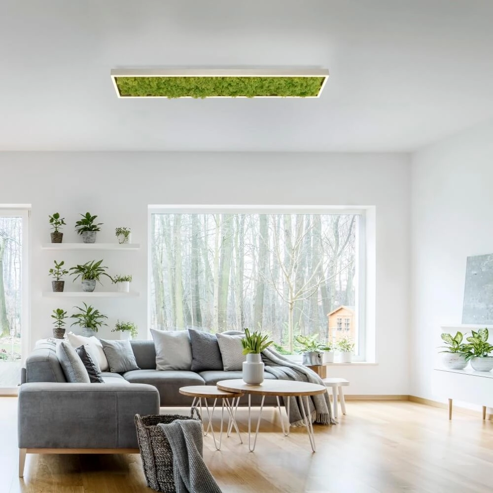 Rectangular ceiling lamp Green Knut with moss Just Light 4043689994846