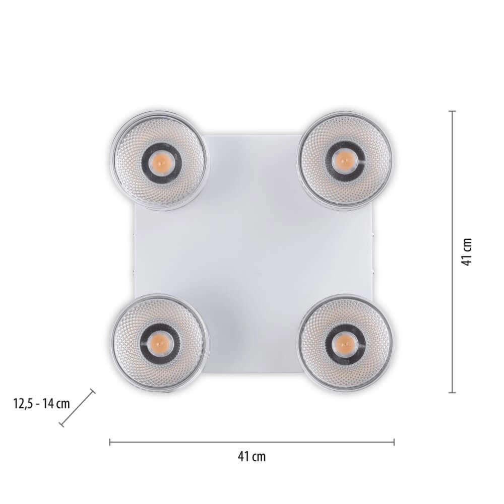 White ceiling lamp Pure Nola 4-light Paul Neuhaus 4012248374559