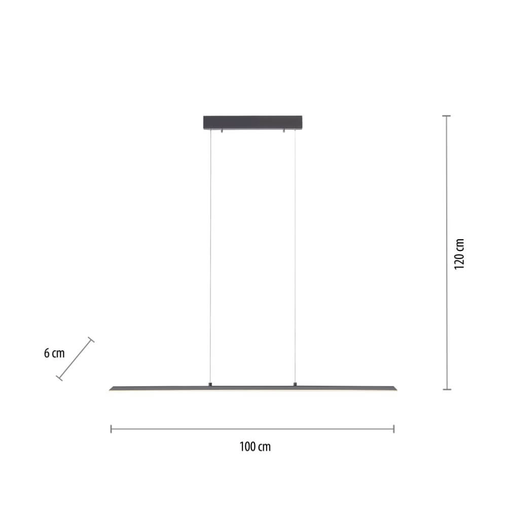 Design hanging lamp Pure Lite 100cm anthracite Paul Neuhaus 4012248344873
