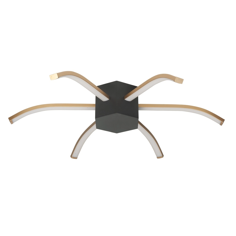 Design ceiling lamp Spider black with gold Ø 60cm