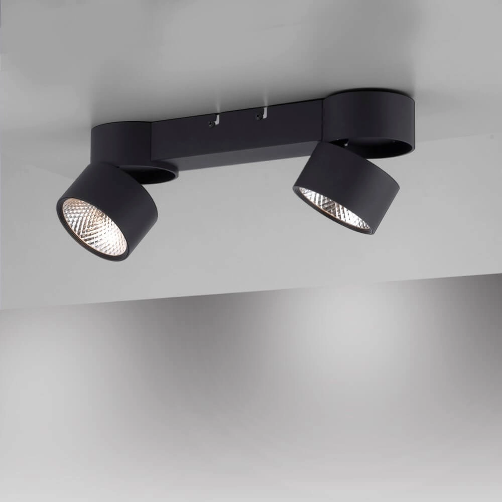 Ceiling lamp Pure Nola 2-light black Paul Neuhaus 4012248372005
