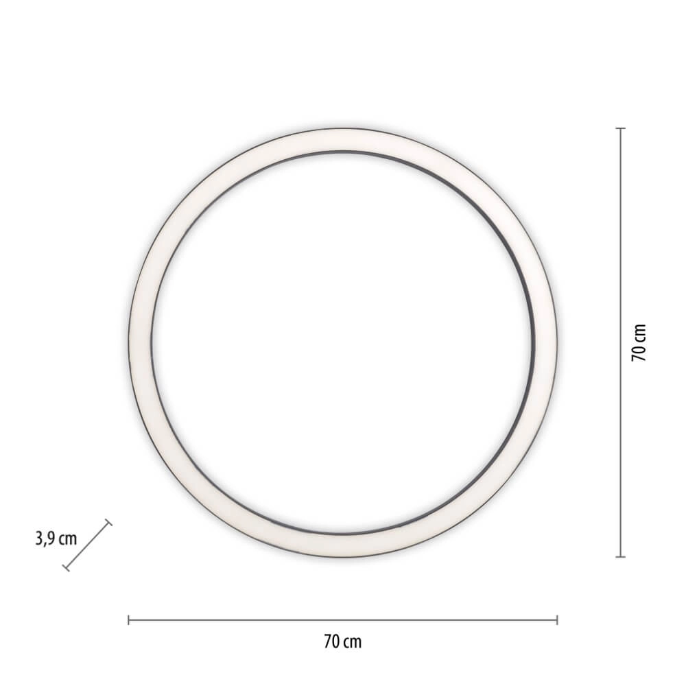 Round floor lamp Pure Lines Round Ø 70cm anthracite Paul Neuhaus 4012248373521