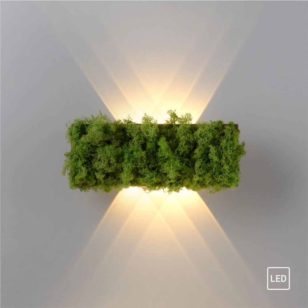 Rectangular ceiling lamp Green Carlo with moss Just Light 4043689994853