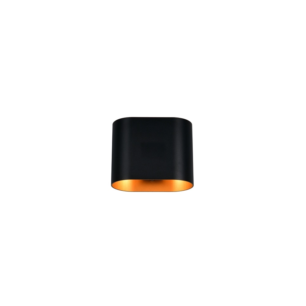 Surface-mounted spot Alani black with gold Trio 4017807656923