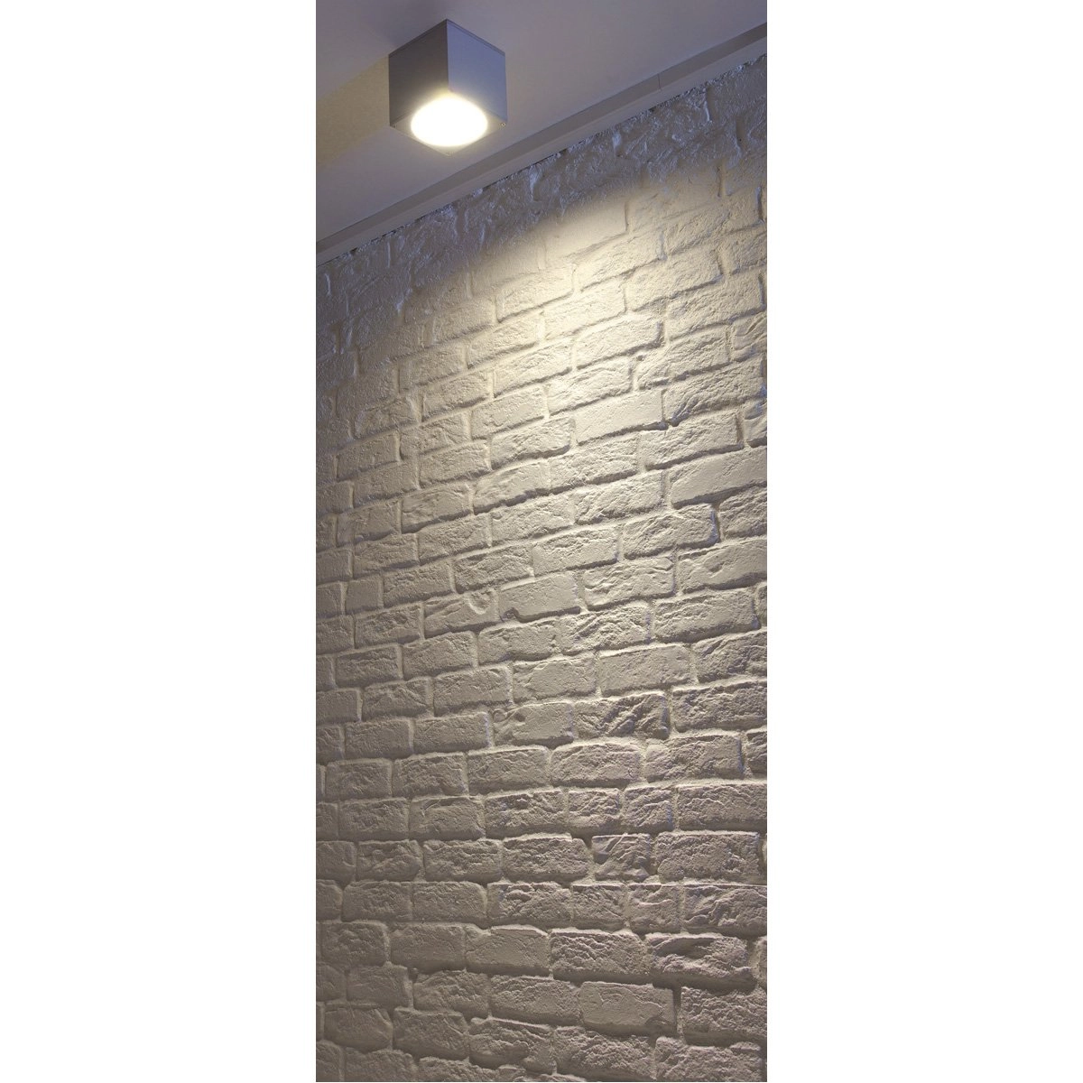 Porch spot Big Theo Ceiling Out GU10 15cm silver gray SLV 4024163112567