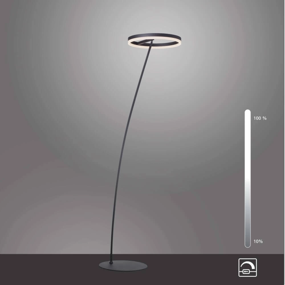 Anthracite floor lamp Titus modern Paul Neuhaus 4012248357637