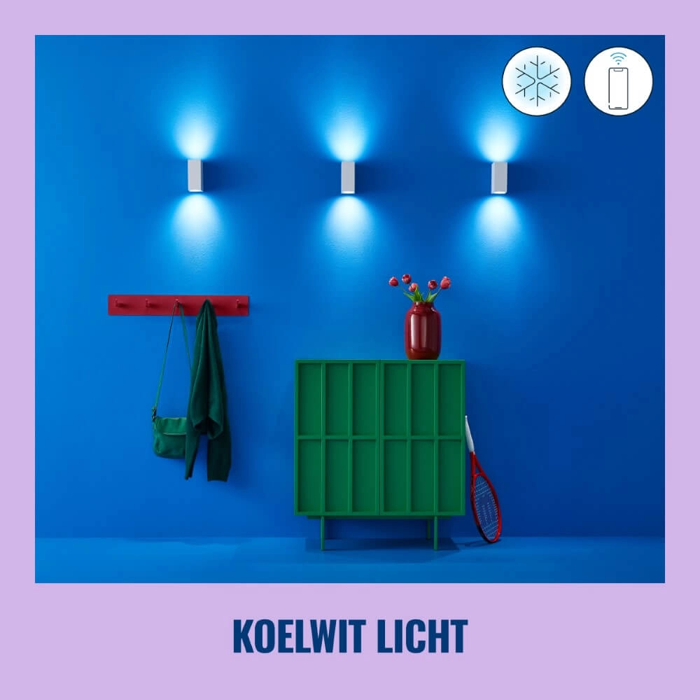 Wall spotlight Up and Down Smart - White WiZ 8719514554597