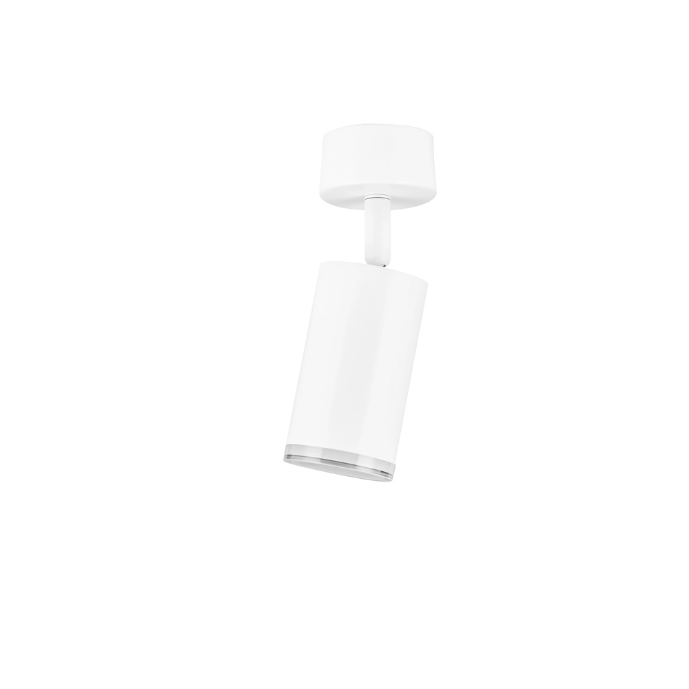 Surface-mounted spot Mao only white Lyora 5212017475268