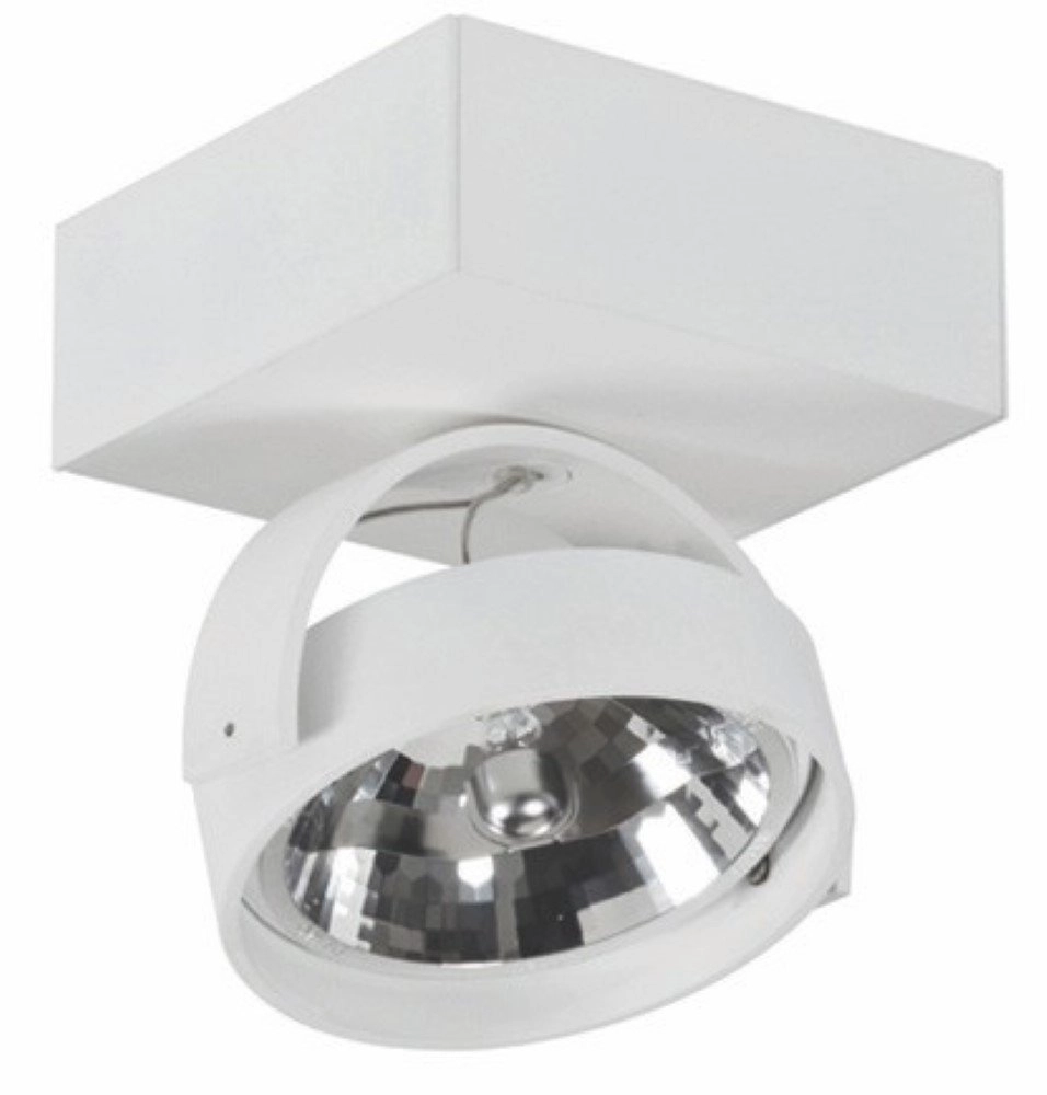 Single spot lamp Dutchess