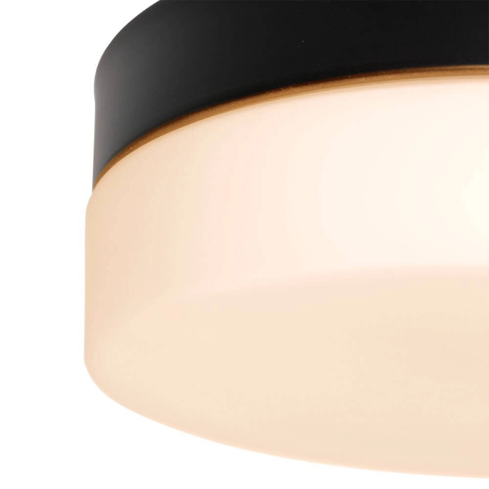 Bathroom ceiling lamp Ikaro Ø 18cm Steinhauer 8712746152968
