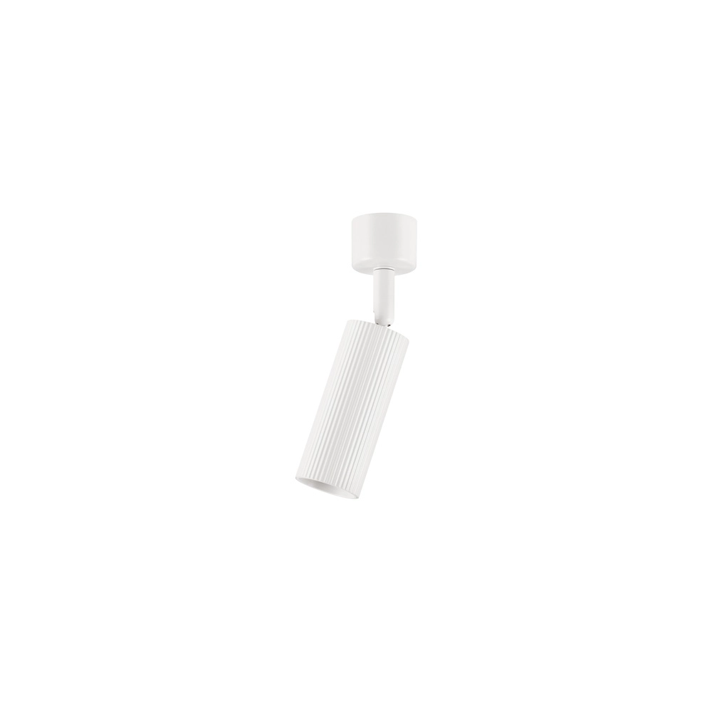 Ceiling spotlight Comet Orientable white Lyora 5212017475787