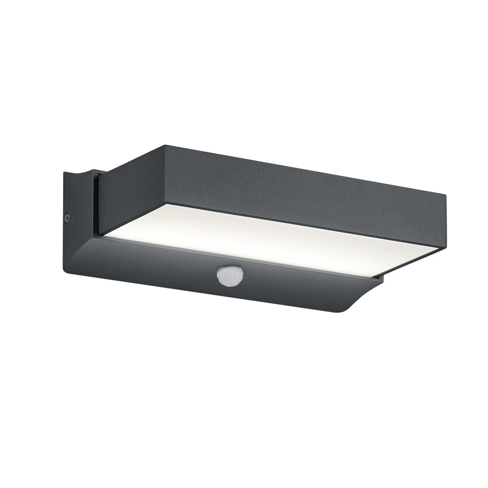 LED outdoor lamp Cuando with montion sensor