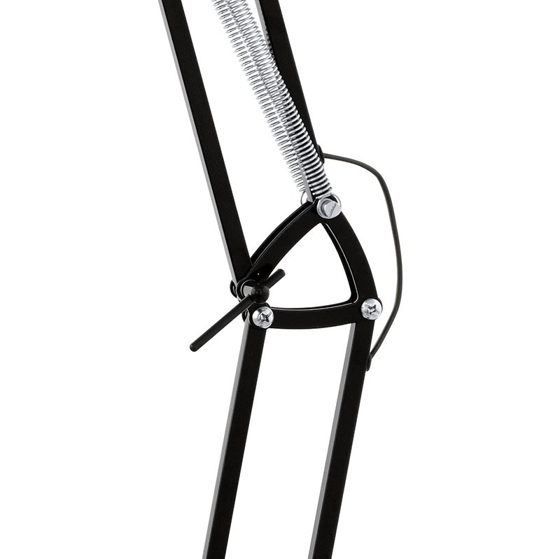 Standing lamp Borgillo black Eglo 9002759946982