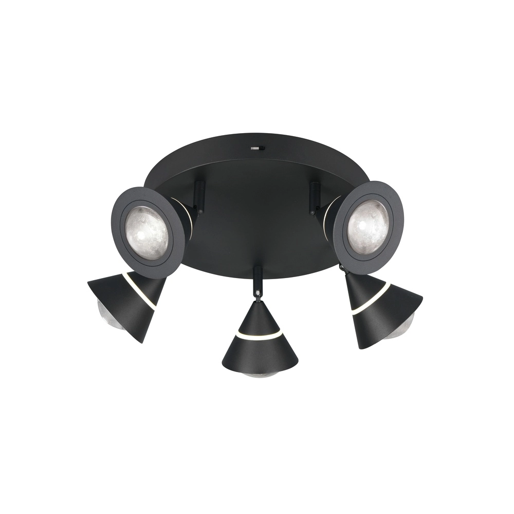 Ceiling lamp Romeo black Trio 4017807670417