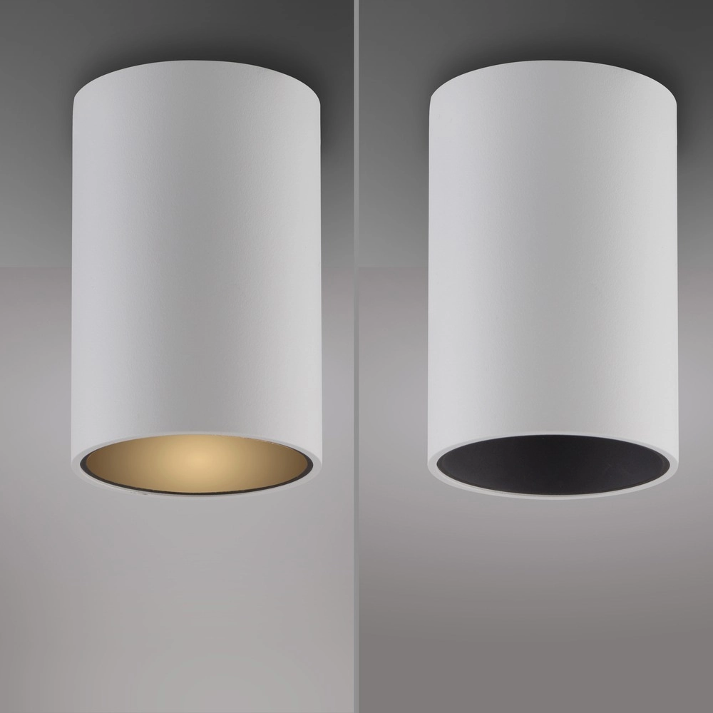 Ceiling surface-mounted spot Pure Point Ø 6cm - white Paul Neuhaus 4012248395660
