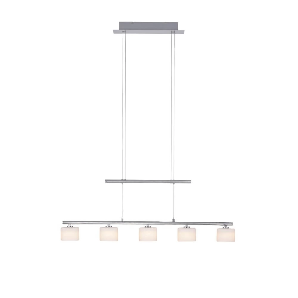 5-light pendant lamp Hydra metal Paul Neuhaus 4012248364963