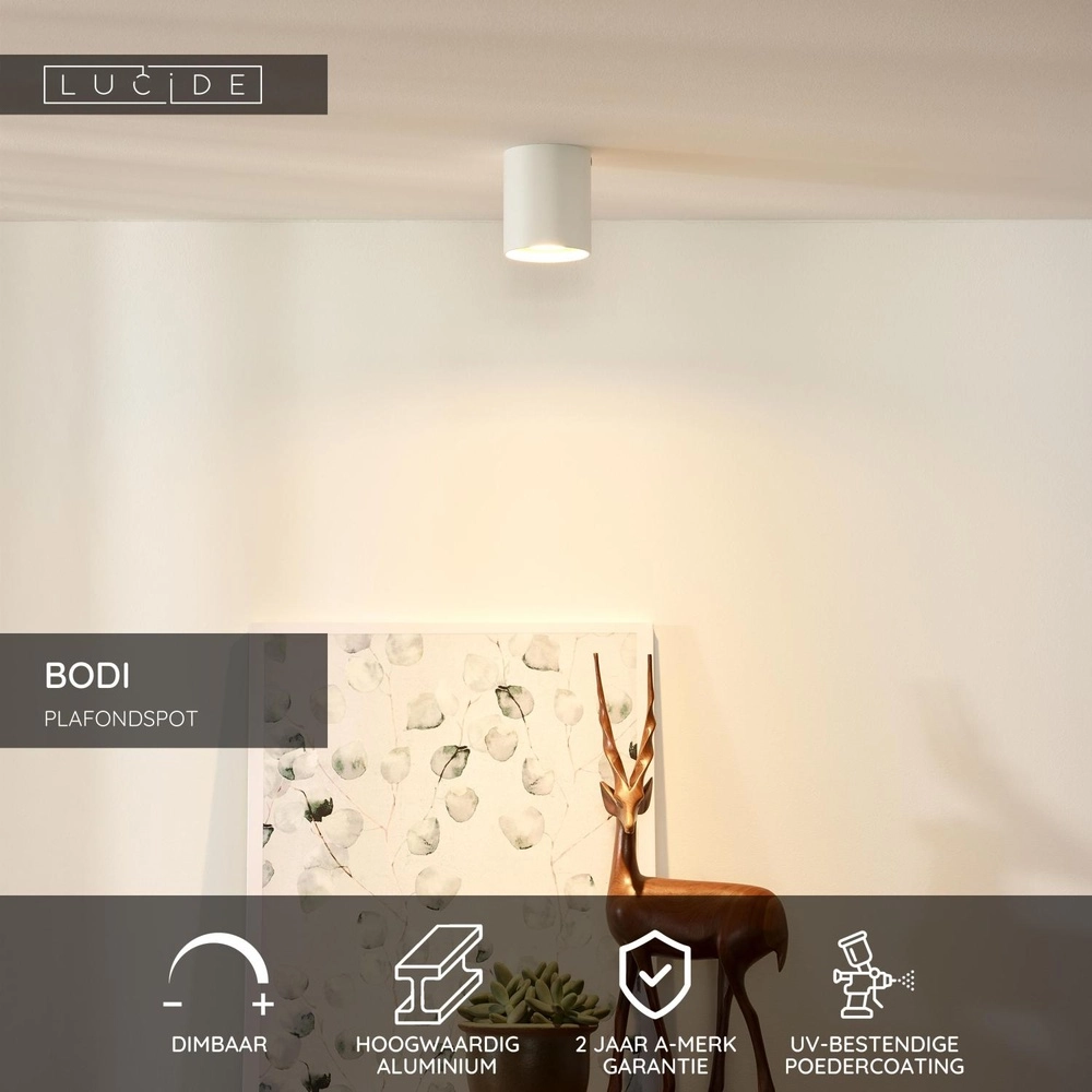 Ceiling spotlight Bodi Ø 8cm white Lucide 5411212091543
