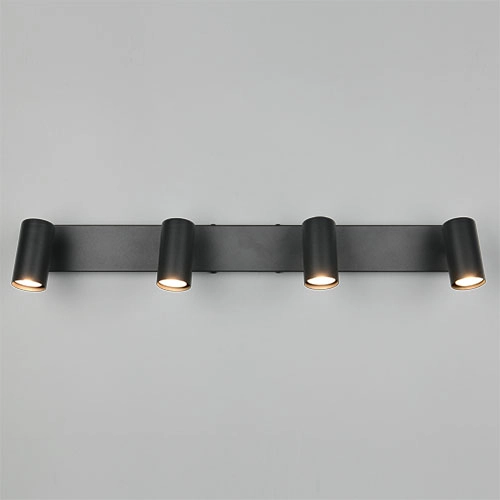 Surface-mounted spot Taryn 4-light black Trio 4017807685633